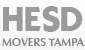 Hesd Movers Tampa